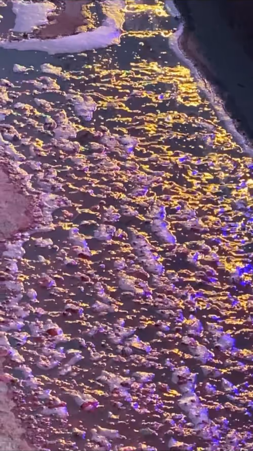 Item #62402000334580523921237358418718502457721815832787791947048085154059109007361 Media