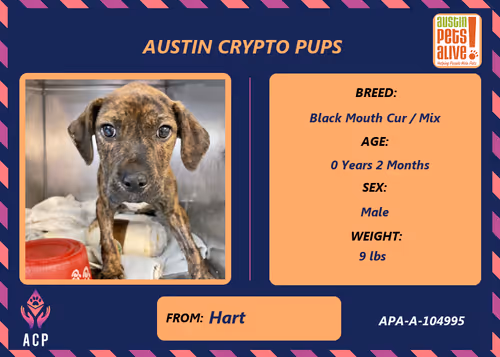 Item #17951378556605612276483806045649535824451571419947225201384628588717314932737 Media