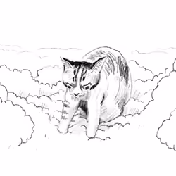 ふみふみ（FUMIFUMI）