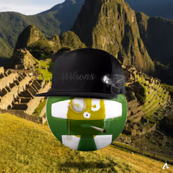 50958973752903565455854469215879591632770460990683765510966565382417895391233