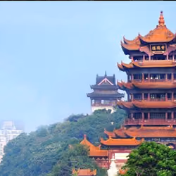 楼外楼