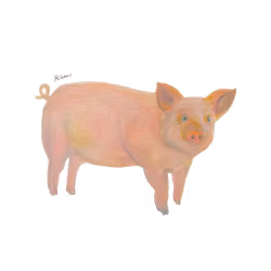 Pig #6