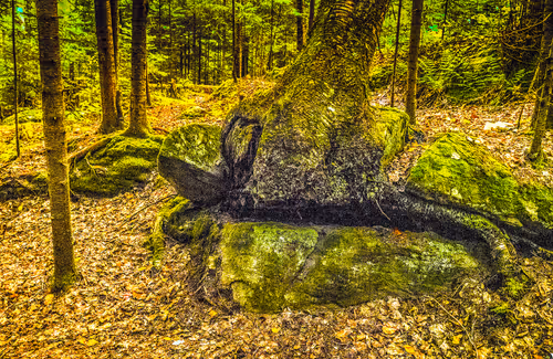 Item #78614967916850878758896281278088562819031429561597845143063368109160363196417 Media