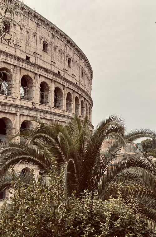 Item #106962716921335990762713992472161684452961633480742312471954214573331812712449 Media