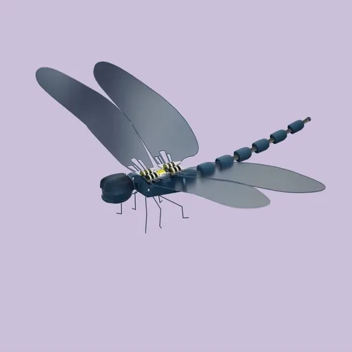 OBTI BOT DF #018
