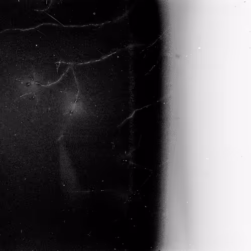 Lifeincelluloid
