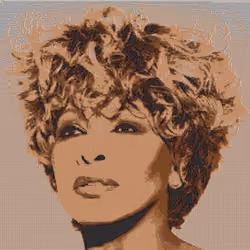 Tina Turner "Mosaic"