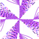 99806422462377322270492571048895906279388700901379496843207482351391264997377