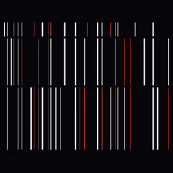 109334026439111402368738122638371148948649000304651538036628399592709459804161