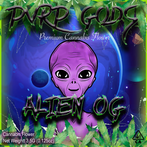 Item #14945606231224078199946966802440326171295025425828752710008100861250054914049 Media