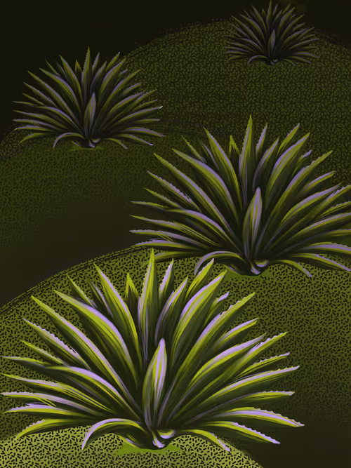 Item #68532149067550727898637062071005187429369524399661671565388127229731087056897 Media