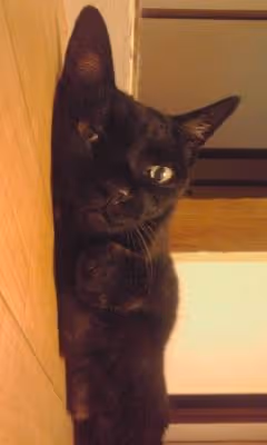 Untitled Collection #1290629369