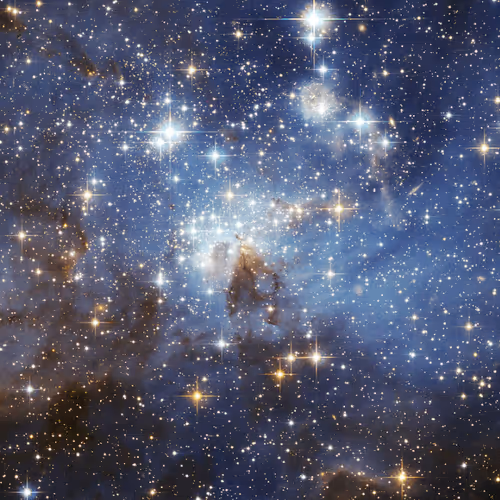 Untitled Collection #683385