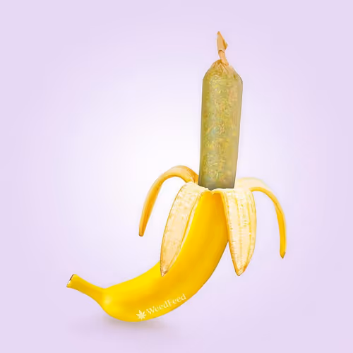 Item #276618171581163995688451181711762959038558310937804576463711788982989750273 Media