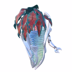 Cybercaladium