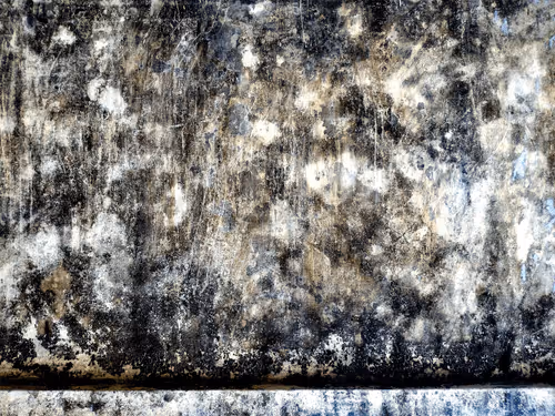 Item #77837778009088564188174628045169397065653229955612462896383264981320682438657 Media