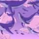 52708115149910778681189038616637843536018918367135493238518818739218290835457