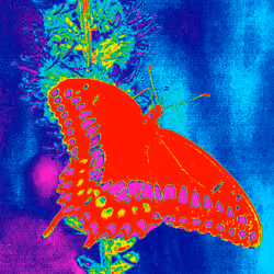 10162537437224382031479019658551907585229278444242708151782220136284371812353