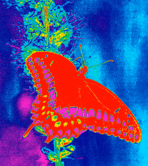 Item #10162537437224382031479019658551907585229278444242708151782220136284371812353 Media