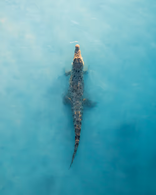 Item #98364308577151193896223353629965486931327977974902168475633960478100835794945 Media