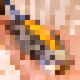 46698658292401103272501478394963202359430575555652960577176857535063403790337