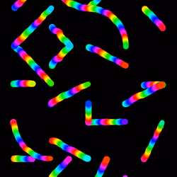 38441269529530760174436903279067870552302020082136112054512560627725040091137