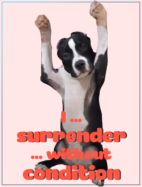 Item #103606411814514267144441239329390381368364317226309774540220525439372260016129 Media