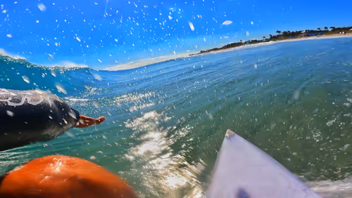 Item #55311532817174375631283244864481089395917004455135628586112117535706158465025 Media