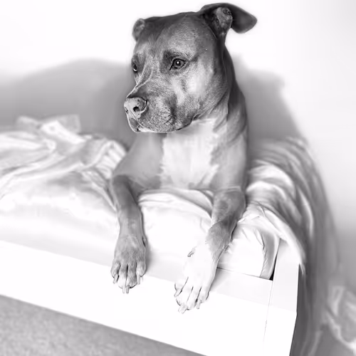 Untitled Collection #78357309