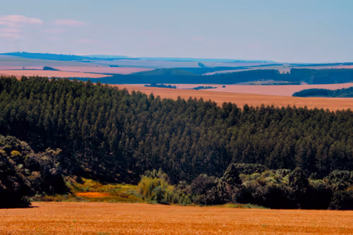 Item #87092990260447267838744578330374476785020899117585411719574779584348006907905 Media