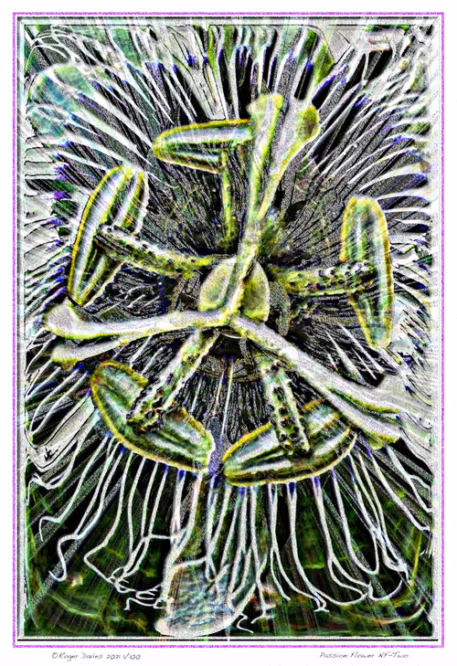 Item #6968899724388266606176016145545160509277227480062482001621938840396292423780 Media