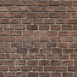 wall
