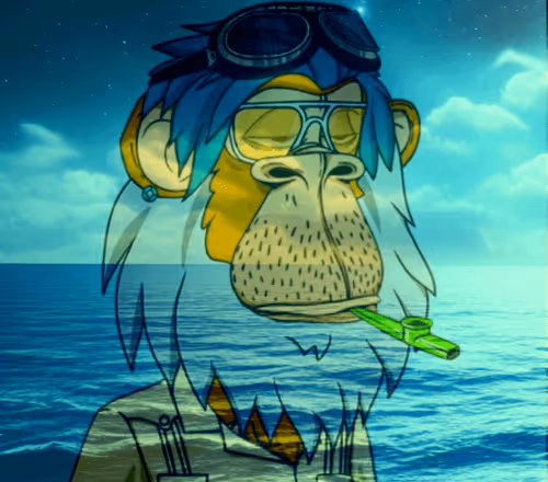 Mikeinmot_EAYC Collection