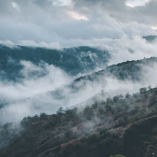 Foggy day