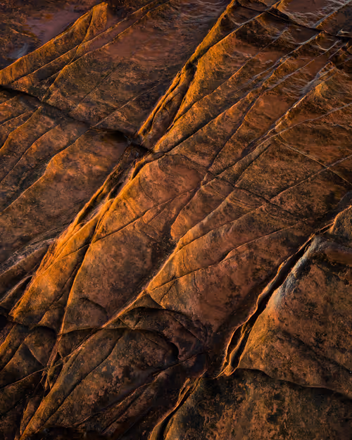 Item #92025450797269199699519638407999947828010124563072321716364901921040816406529 Media