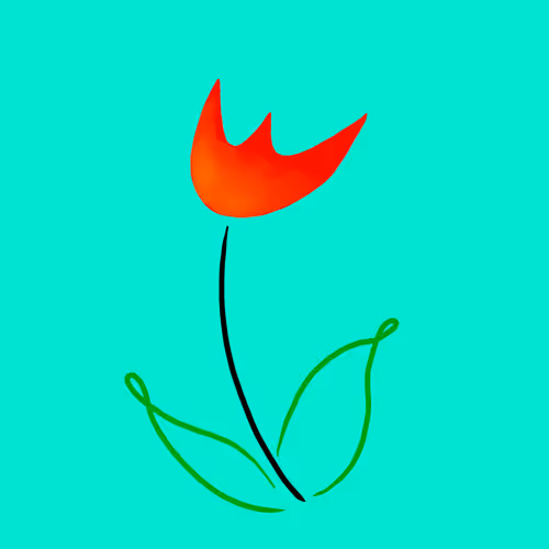 Tulip Mania 1