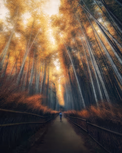 Item #18429628354057188698791897344843327250721148693952566125473226695770053279745 Media