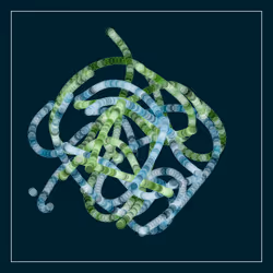 107937117699900001194099939943306584939867407144504846123696048244311665410049