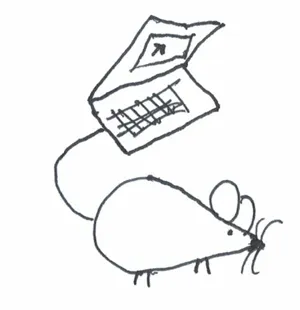 Item #23977370117191917724225468807392124890950272782277708039151273731372095635457 Media