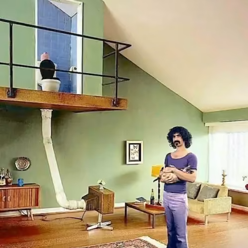 Frank Zappa: TV is shit