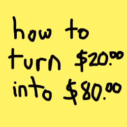 HOW TO TURN $20 INTO $80