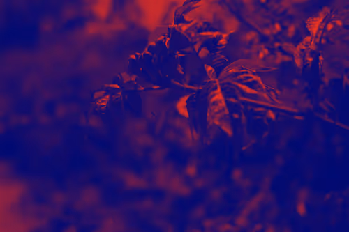 Item #27434377377013038178664737441891876800279773627045091571206927087923632275457 Media