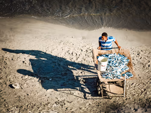 Item #80385899498883046092469810448976563322921356090656121236208626336148783890433 Media