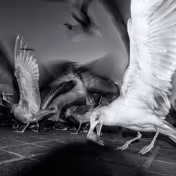 45698053960438807051727633621105073210005053048443120307747772246826380427265