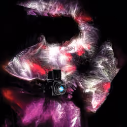 Capture the Moment