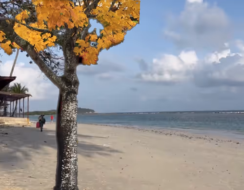 Item #98302218548154138540751170161055066086641108964287725677528013444342712631297 Media