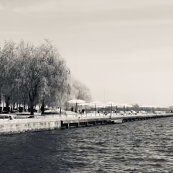 Harbour