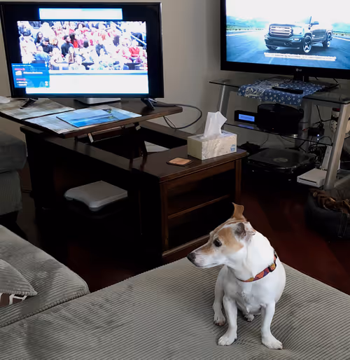 Item #5985210497355107417265215381210579199842884272282595265964883442996283965441 Media