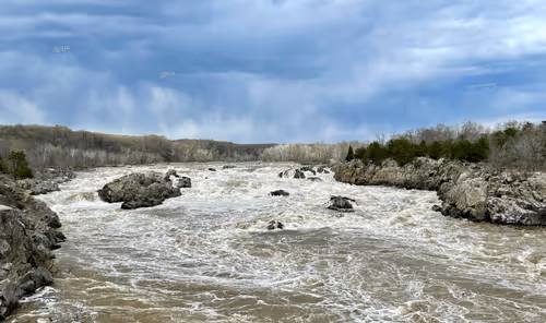 Item #60286361363657250857601775030637471218171117852543341295073304036041241395201 Media