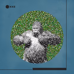 X-XXII_ED2